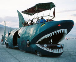 Shark Bus