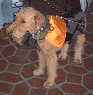 Dapper Pooch - Halloween Party at the 79th Street Boat Basin, 2001.
