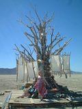 art- Meditation Tree... The most peaceful place on the Playa... The pinwheels on the limbs sounded like leaves rustling.