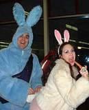 Mating Bunnies - The annual Staten Island Ferry Rabbit Cruise 2001.