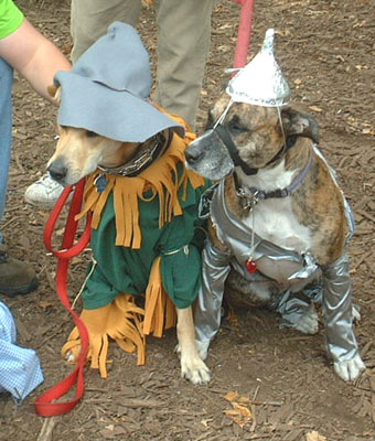 Oz 2... Dog Costume Parade, Tompkins Square Park, NYC (jtg)