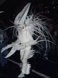 Albino Lobster - New York City Halloween Parade