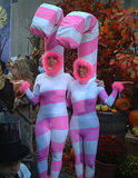 Candy Canes... NBC's Today Show Halloween (jtg)