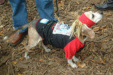 Dogwear3... Dog Costume Parade, Tompkins Square Park, NYC (jtg)