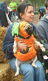 Great pumpkin... Dog Costume Parade, Tompkins Square Park, NYC (jtg)
