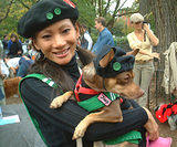 Joey... Dog Costume Parade, Tompkins Square Park, NYC (jtg)