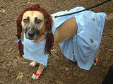 Dorothy... Dog Costume Parade, Tompkins Square Park, NYC (jtg)
