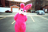 Razzleberry Rabbit! 1 - Another picture of the punk rabbit, Razzleberry!
