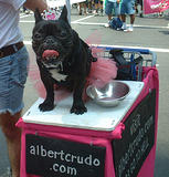 Albert's Pup - NYC Gay Pride Parade, 6-30-02