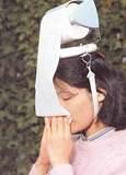 Toilet Paper Hat Dispenser - For runny noses and...