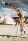 Giraffe at Burning Man - For more pics from Burning Man 2000, check out the BM section in the Main Photogallery and a Flash Presentation in the photogallery's "Special Collections section.