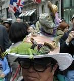 Easter Lizard Hat - The NYC 5th Avenue Easter Parade, 2002.